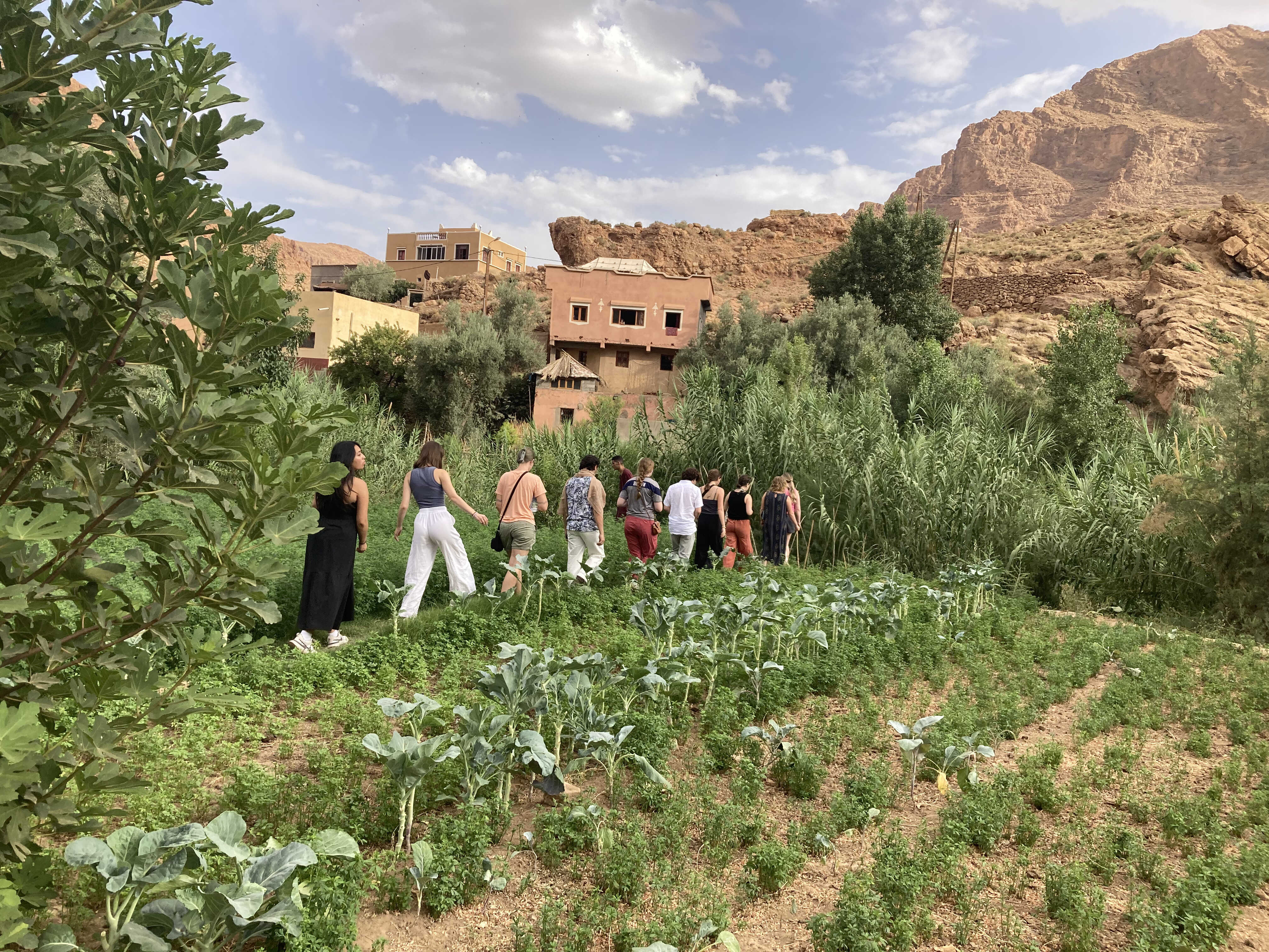 students on a farm tour in todra gorge, morocco