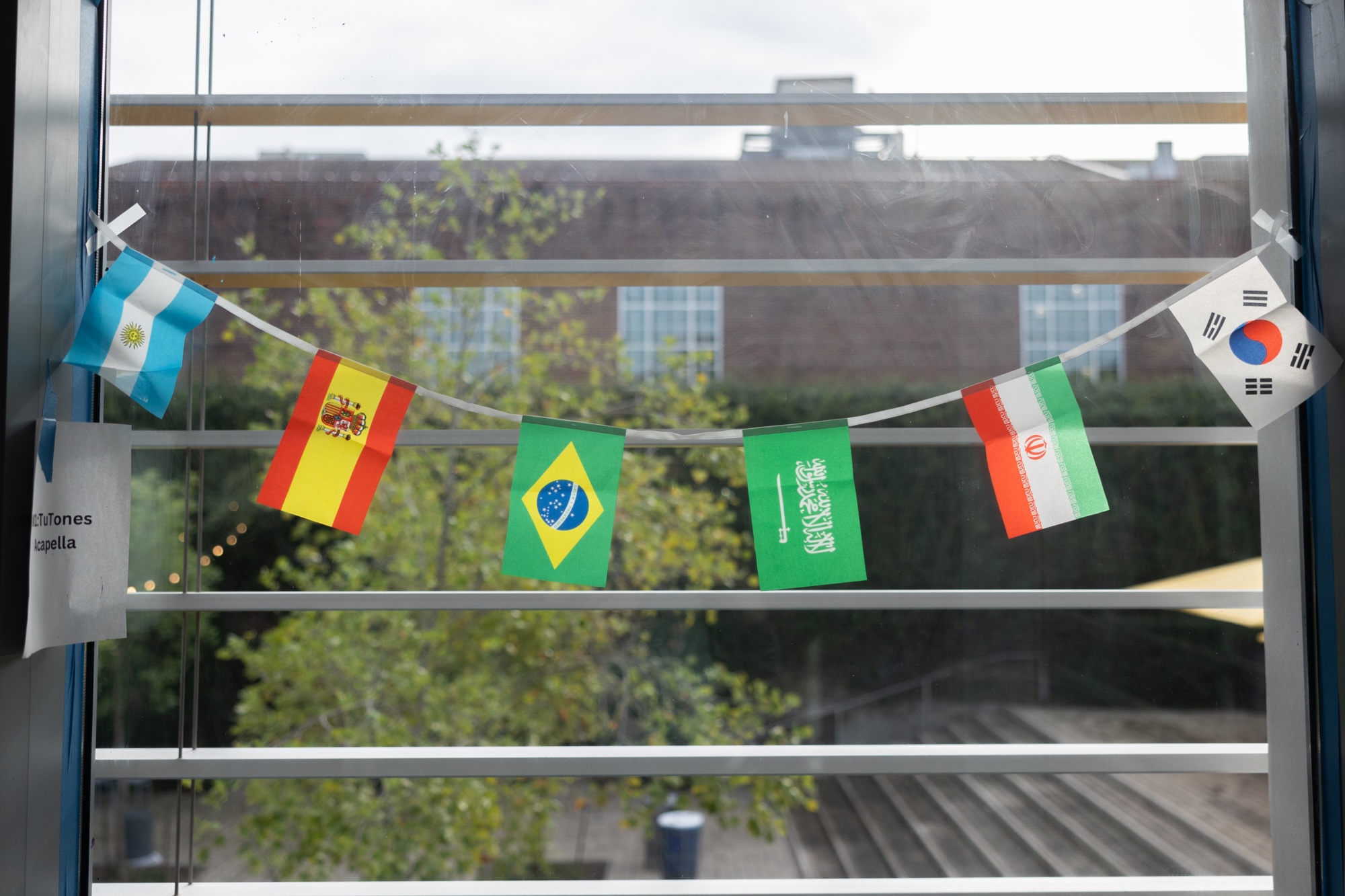 Bunting with flags of Argentina, Spain, Brazil, Saudi Arabia, Iran, and South Korea displayed in a window.