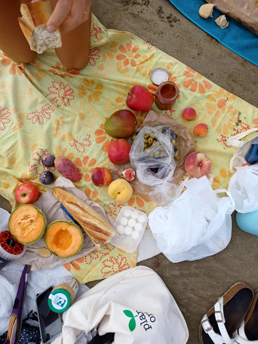 picnic with a wide variety of foods