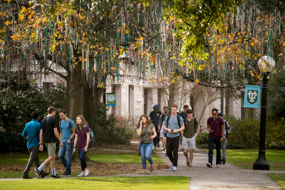 students walking on campus under the bead tree