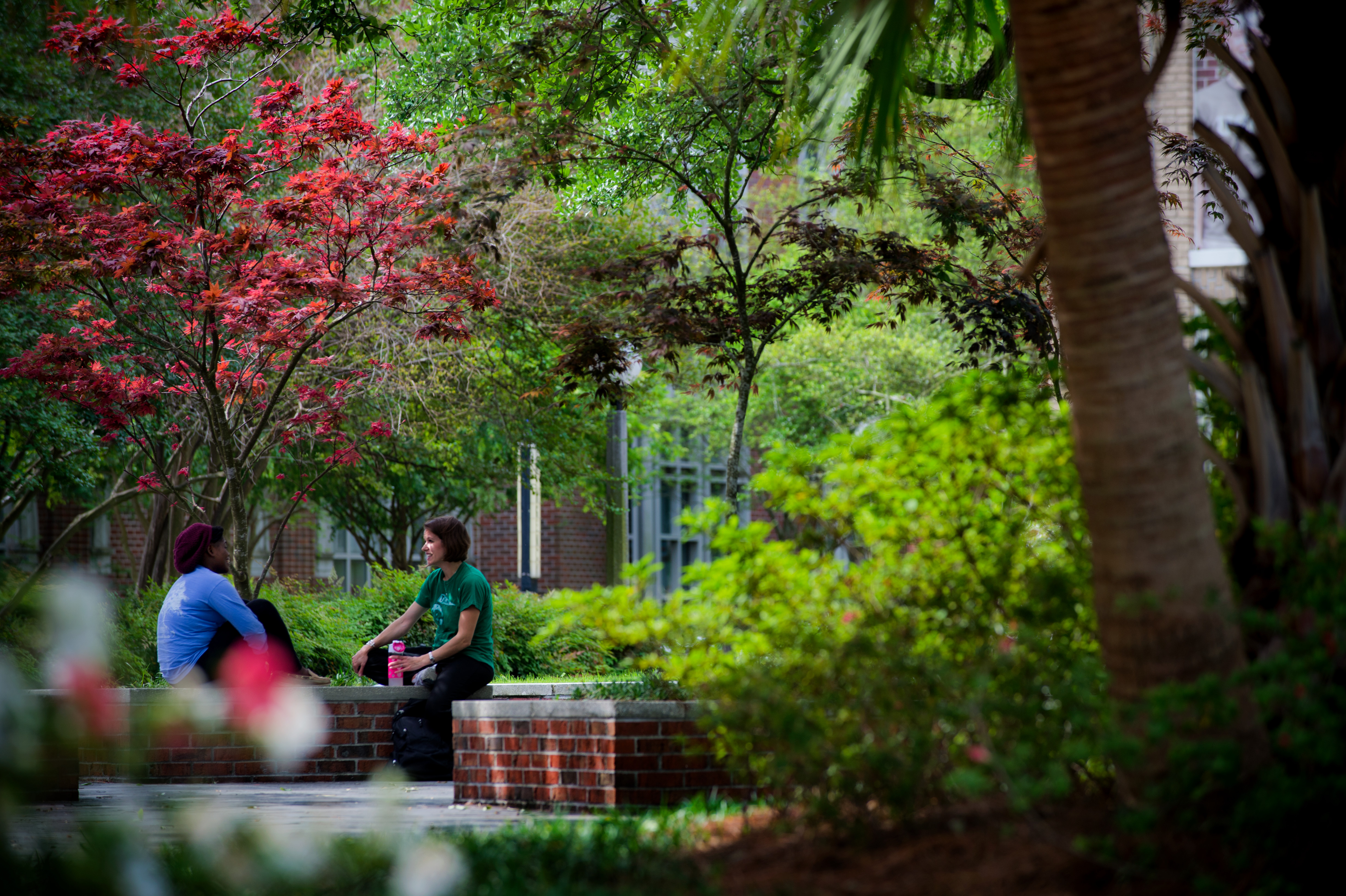 Two students seen from a distance in the quad, talking. 